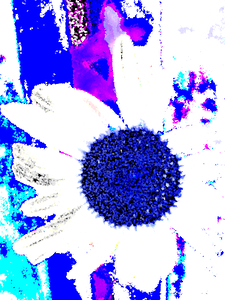 Abstract Contrasting Daisy Flower in Cubism  